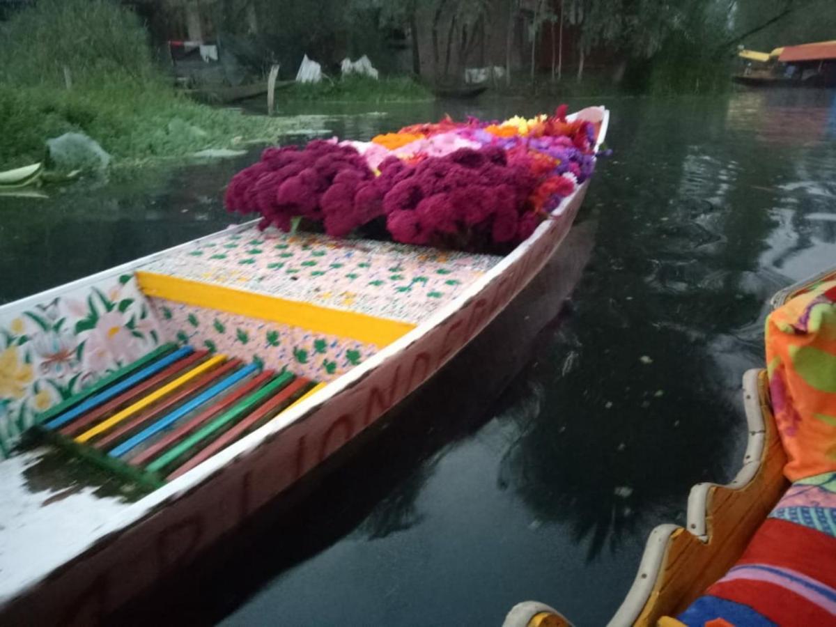 Umbrella Group Of House Boat Otel Srīnagar Dış mekan fotoğraf